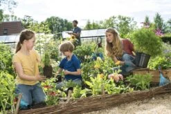 GARDENA Combisystem Bladharkje - Werkbreedte 12 Cm - 25 Jaar Garantie -Tuingereedschaps Winkel 1200x800 163