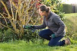 Bosch KEO 18 Accu Tuinzaagmachine - Snijdiameter Van 80 Mm - Met 18 V Accu En Lader -Tuingereedschaps Winkel 1200x800 26