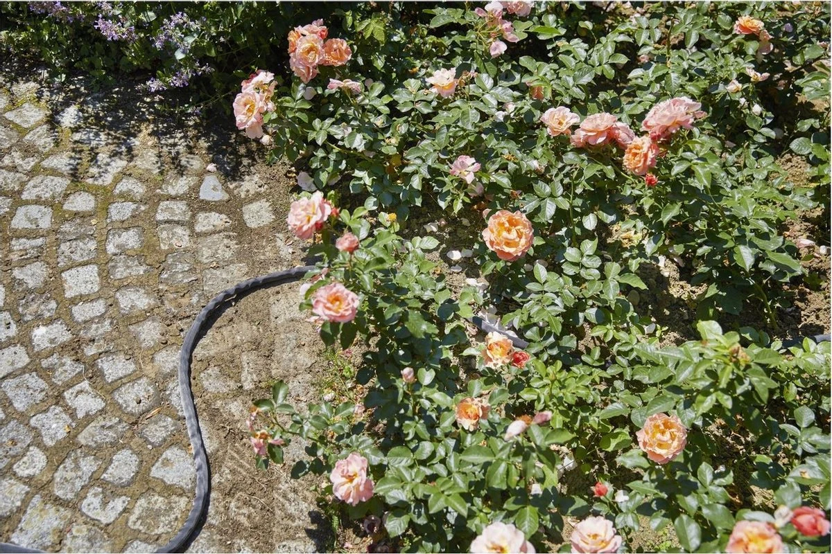 GARDENA Kraanverbindingsstuk Binnenshuis 6 GARDENA Kraanverbindingsstuk Binnenshuis - Afbeelding 6