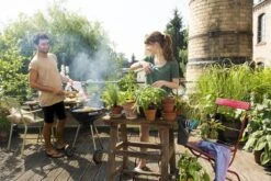 GARDENA - Terras Spiraalslang - 7.5 M Tuinslang - 9mm 11 GARDENA - Terras Spiraalslang - 7.5 M Tuinslang - 9mm -Tuingereedschaps Winkel 1200x800 311