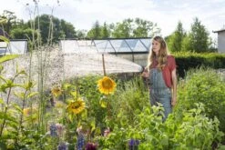 GARDENA - Comfort Broeskop - 5 Straalsoorten - Grijs -Tuingereedschaps Winkel 1200x800 321