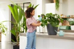 Elho Brussels Gieter 1,8l - Gieter Voor Binnenkweken En Oogsten - Ø 33.0 X H 17.0 Cm - Groen/Mint 10 Elho Brussels Gieter 1,8l - Gieter Voor Binnenkweken En Oogsten - Ø 33.0 X H 17.0 Cm - Groen/Mint -Tuingereedschaps Winkel 1200x800 339