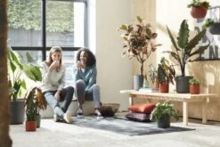 Elho B.for Soft Rond 35 - Bloempot Voor Binnen - Ø 34.5 X H 32.3 Cm - Antraciet -Tuingereedschaps Winkel 1200x800 355