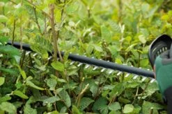 Bosch UniversalHedgeCut 18-50 Heggenschaar - Met 18 V Accu En Lader 15 Bosch UniversalHedgeCut 18-50 Heggenschaar - Met 18 V Accu En Lader -Tuingereedschaps Winkel 1200x800 49