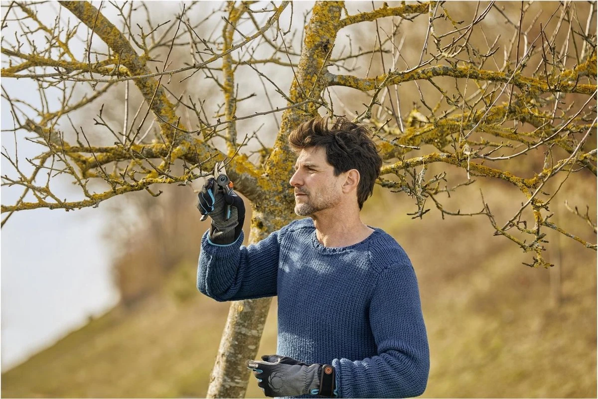 GARDENA - ExpertCut - Snoeischaar - 22 Diameter Tak 11 GARDENA - ExpertCut - Snoeischaar - 22 Diameter Tak - Afbeelding 11