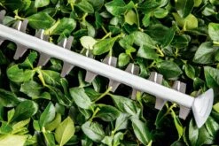 Bosch UniversalHedgeCut 60 Heggenschaar - Op Snoer - Lengte 60 Cm -Tuingereedschaps Winkel 1200x800 71