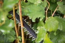 Bosch UniversalHedgeCut 18-55 Heggenschaar - Zonder 18V Accu En Oplader -Tuingereedschaps Winkel 1200x800 78