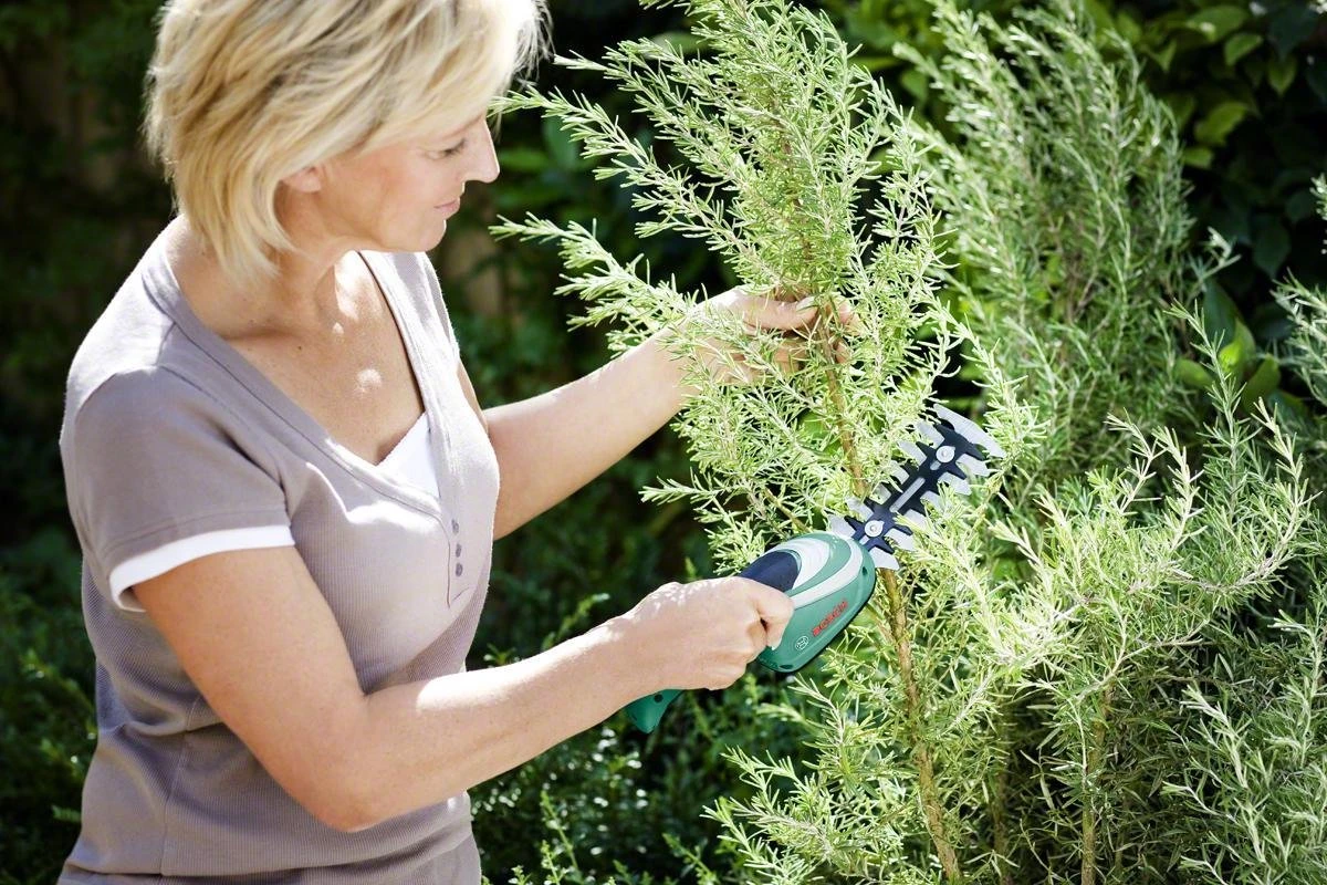 Bosch ISIO Gen III Accu Buxusschaar + Grasschaar 4 Bosch ISIO Gen III Accu Buxusschaar + Grasschaar - Afbeelding 4