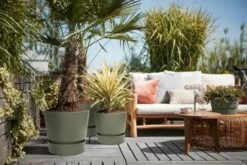 Elho Greenville Rond 30 - Grote Bloempot Voor Buiten - Gemaakt Van Gereycled Plastic - Ø 29.5 X H 27.8 Cm - Blad Groen -Tuingereedschaps Winkel 1200x801 24