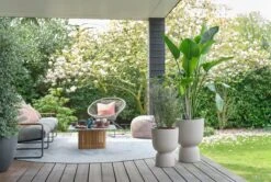 Elho Pure Coupe 35 - Bloempot Voor Binnen & Buiten - Ø 34.9 X H 49.0 Cm - Beige/Balanced Beige -Tuingereedschaps Winkel 1200x808 5