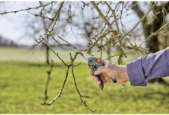 GARDENA - ExpertCut - Snoeischaar - 22 Diameter Tak 32 GARDENA - ExpertCut - Snoeischaar - 22 Diameter Tak -Tuingereedschaps Winkel 1200x815