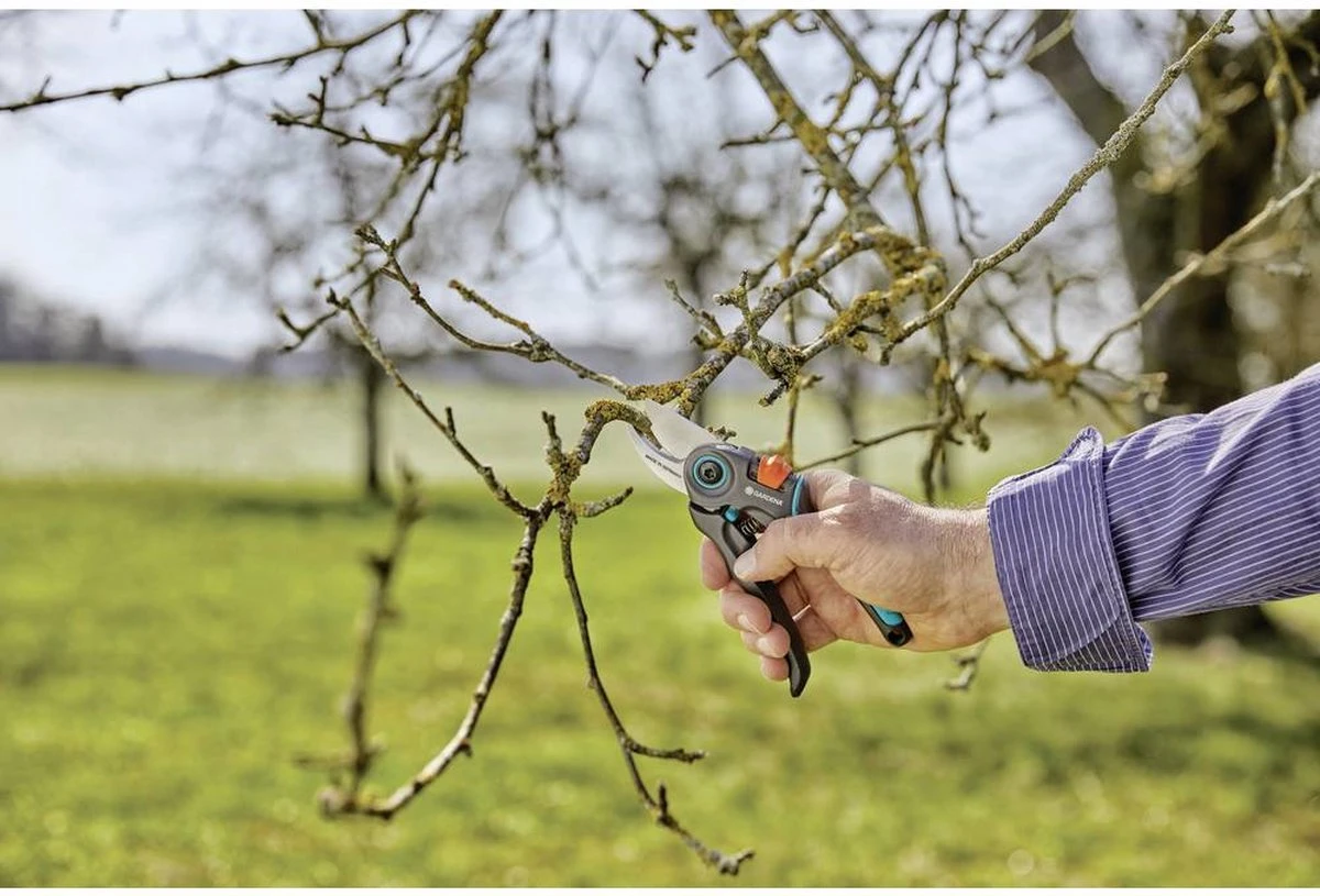 GARDENA - ExpertCut - Snoeischaar - 22 Diameter Tak 16 GARDENA - ExpertCut - Snoeischaar - 22 Diameter Tak - Afbeelding 16