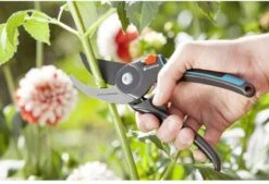 GARDENA Comfort B/M Bypass Snoeischaar - Ø 24mm - Met Sapgeul -Tuingereedschaps Winkel 1200x822