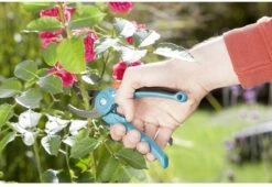 GARDENA - Classic B/S-M Bypass Snoeischaar - Ø 22mm - 25 Jaar Garantie -Tuingereedschaps Winkel 1200x825 9