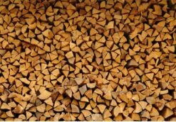 Steko Houtsplijter Voor Grote Blokken - Voor Aanmaakhout & Brandhout - Houtklover - Houtkliever - Splijtwig - Handmatig - Overal Te Gebruiken 1605 Gram - Metaal - Kloofwig - HOGE VOLUMEKORTING 8 Steko Houtsplijter Voor Grote Blokken - Voor Aanmaakhout & Brandhout - Houtklover - Houtkliever - Splijtwig - Handmatig - Overal Te Gebruiken 1605 Gram - Metaal - Kloofwig - HOGE VOLUMEKORTING -Tuingereedschaps Winkel 1200x837 1