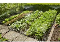 GARDENA Micro Drip System Bloembed En Moestuin Startset Druppelsysteem - 25 Meter 17 GARDENA Micro Drip System Bloembed En Moestuin Startset Druppelsysteem - 25 Meter -Tuingereedschaps Winkel 1200x844 3
