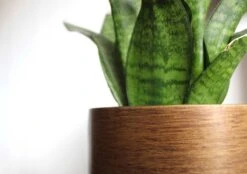 Capi Europe - Bloempot Bol Retro - 23x21 - Goud - Bloempot Voor Binnen - BRTG134 -Tuingereedschaps Winkel 1200x844 5