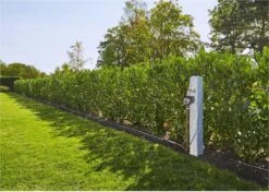 GARDENA - Besproeiingscomputer Flex - Geen App Vereist 18 GARDENA - Besproeiingscomputer Flex - Geen App Vereist -Tuingereedschaps Winkel 1200x856 3