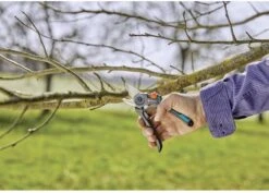 GARDENA - ExpertCut - Snoeischaar - 22 Diameter Tak 31 GARDENA - ExpertCut - Snoeischaar - 22 Diameter Tak -Tuingereedschaps Winkel 1200x859