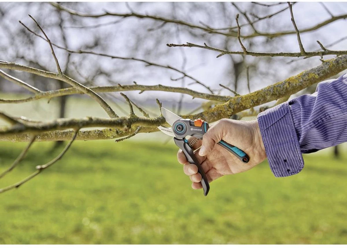 GARDENA - ExpertCut - Snoeischaar - 22 Diameter Tak 15 GARDENA - ExpertCut - Snoeischaar - 22 Diameter Tak - Afbeelding 15