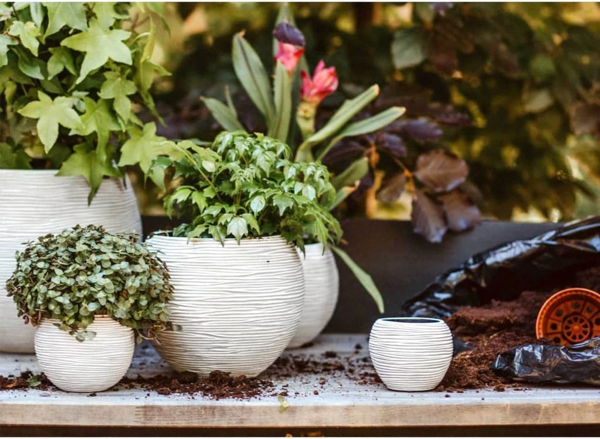 Capi Europe - Set Van 3 - Bloempot Binnen - Rib Ivoor 4 Capi Europe - Set Van 3 - Bloempot Binnen - Rib Ivoor - Afbeelding 4