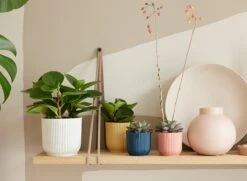 Elho Vibes Fold Rond Wielen 35 - Bloempot Voor Binnen - Ø 34.9 X H 32.4 Cm - Zijdewit -Tuingereedschaps Winkel 1200x879 5