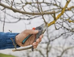 GARDENA - ExpertCut - Snoeischaar - 22 Diameter Tak 19 GARDENA - ExpertCut - Snoeischaar - 22 Diameter Tak -Tuingereedschaps Winkel 1200x929