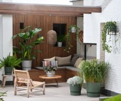 Elho Greenville Rond 30 - Grote Bloempot Voor Buiten - Gemaakt Van Gereycled Plastic - Ø 29.5 X H 27.8 Cm - Blad Groen -Tuingereedschaps Winkel 1200x996 4