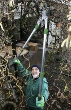 Telescopische Takkenschaar, 6-voudig -Tuingereedschaps Winkel 775x1200