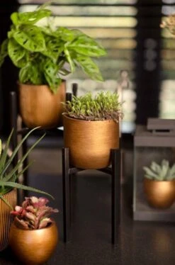 Capi Europe - Bloempot Bol Retro - 23x21 - Goud - Bloempot Voor Binnen - BRTG134 -Tuingereedschaps Winkel 792x1200 1