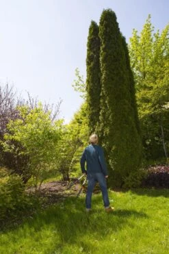 GARDENA TeleCut Heggenschaar - Telescopische Handgrepen Van 70-90 Cm -Tuingereedschaps Winkel 799x1200 14