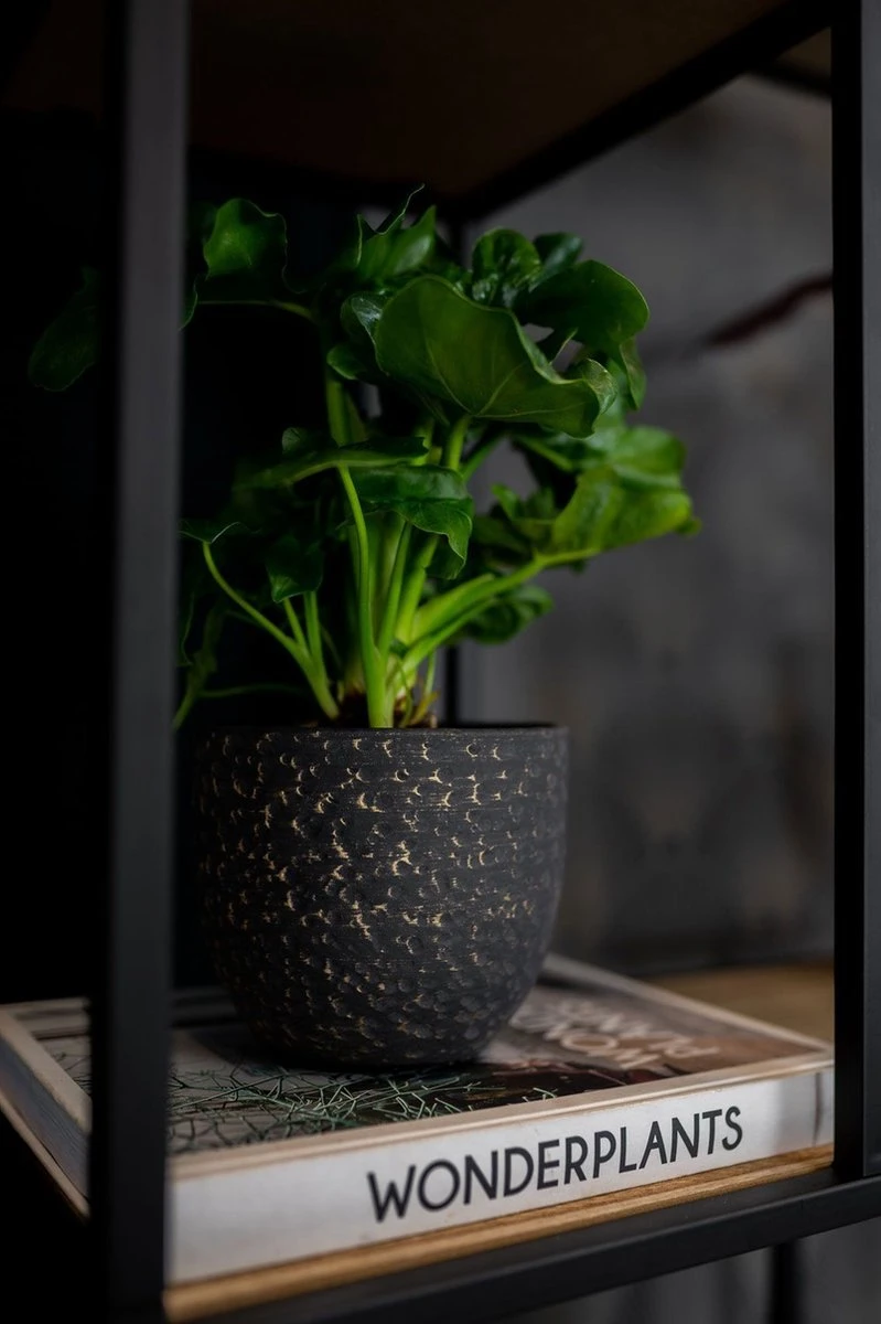 Plantenpot/Bloempot In Het Lava-look Zwart Dia 15 Cm En Hoogte 13 Cm - Voor Binnen 2 Plantenpot/Bloempot In Het Lava-look Zwart Dia 15 Cm En Hoogte 13 Cm - Voor Binnen - Afbeelding 2