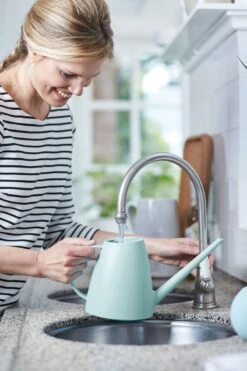 Elho Brussels Gieter 1,8l - Gieter Voor Binnenkweken En Oogsten - Ø 33.0 X H 17.0 Cm - Groen/Mint 11 Elho Brussels Gieter 1,8l - Gieter Voor Binnenkweken En Oogsten - Ø 33.0 X H 17.0 Cm - Groen/Mint -Tuingereedschaps Winkel 800x1200 105