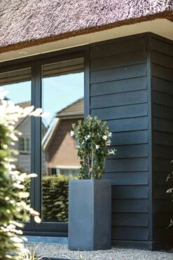 Capi Europe - Bloempot Rechthoek Smooth NL - 36x36x79 - Zwart - Voor Binnen En Buiten - KBL952 -Tuingereedschaps Winkel 800x1200 108