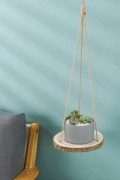 Set Van 2 Boomstam Rond Wandrek Plantenhangers - Boho Jute Houten Plantenrek - Hangpot Voor Binnen/Buiten - Hangende Bloempot Plank - Hangplant Houder - Bohemian Macrame Stijl Wandhanger - Hangplank Plant Hanger - Planthanger - Ø Rond 25-20cm -Tuingereedschaps Winkel 800x1200 109
