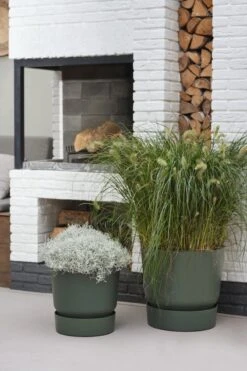 Elho Greenville Rond 30 - Grote Bloempot Voor Buiten - Gemaakt Van Gereycled Plastic - Ø 29.5 X H 27.8 Cm - Blad Groen -Tuingereedschaps Winkel 800x1200 112