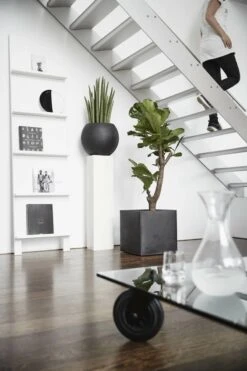 Capi Europe - Bloempot Vierkant Smooth NL - 30x30x30 - Zwart - Voor Binnen En Buiten - KBL902 -Tuingereedschaps Winkel 800x1200 118