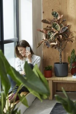 Elho B.for Soft Rond 35 - Bloempot Voor Binnen - Ø 34.5 X H 32.3 Cm - Antraciet -Tuingereedschaps Winkel 800x1200 123