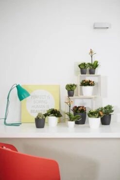 Elho B.for Soft Rond 35 - Bloempot Voor Binnen - Ø 34.5 X H 32.3 Cm - Antraciet -Tuingereedschaps Winkel 800x1200 125