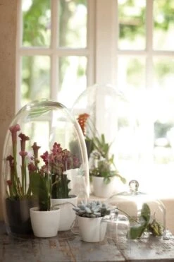 Elho B.for Soft Rond 35 - Bloempot Voor Binnen - Ø 34.5 X H 32.3 Cm - Antraciet -Tuingereedschaps Winkel 800x1200 126