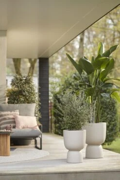 Elho Pure Coupe 35 - Bloempot Voor Binnen & Buiten - Ø 34.9 X H 49.0 Cm - Beige/Balanced Beige -Tuingereedschaps Winkel 800x1200 127