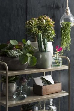 Mica Decorations Lester Bloempot - H31 X Ø33 Cm - Terracotta - Groen 15 Mica Decorations Lester Bloempot - H31 X Ø33 Cm - Terracotta - Groen -Tuingereedschaps Winkel 800x1200 131