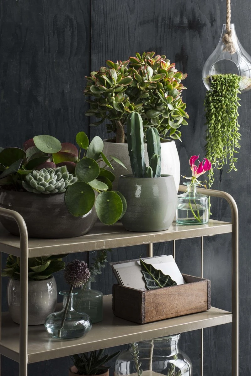 Mica Decorations Lester Bloempot - H31 X Ø33 Cm - Terracotta - Groen 3 Mica Decorations Lester Bloempot - H31 X Ø33 Cm - Terracotta - Groen - Afbeelding 3