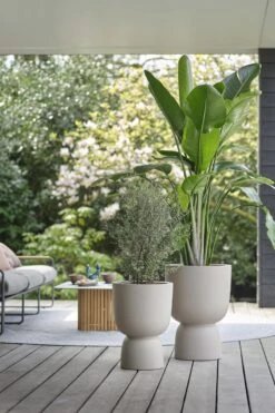 Elho Pure Coupe 41 - Bloempot Voor Binnen & Buiten - Ø 41.3 X H 57.9 Cm - Beige/Balanced Beige 18 Elho Pure Coupe 41 - Bloempot Voor Binnen & Buiten - Ø 41.3 X H 57.9 Cm - Beige/Balanced Beige -Tuingereedschaps Winkel 800x1200 132