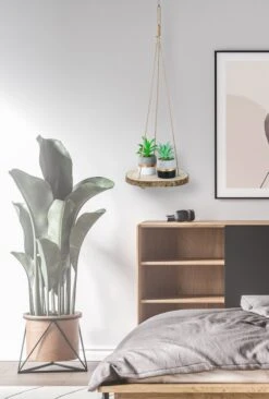 Set Van 2 Boomstam Rond Wandrek Plantenhangers - Boho Jute Houten Plantenrek - Hangpot Voor Binnen/Buiten - Hangende Bloempot Plank - Hangplant Houder - Bohemian Macrame Stijl Wandhanger - Hangplank Plant Hanger - Planthanger - Ø Rond 25-20cm -Tuingereedschaps Winkel 809x1200