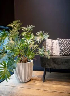 Capi Europe - Bloempot Bol Groove NL - 43x41 - Zwart - Voor Binnen En Buiten - KGVBL933 7 Capi Europe - Bloempot Bol Groove NL - 43x41 - Zwart - Voor Binnen En Buiten - KGVBL933 -Tuingereedschaps Winkel 883x1200