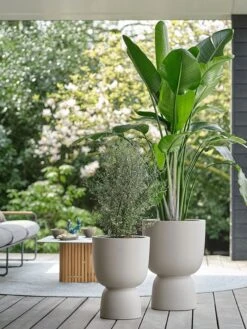 Elho Pure Coupe 35 - Bloempot Voor Binnen & Buiten - Ø 34.9 X H 49.0 Cm - Beige/Balanced Beige -Tuingereedschaps Winkel 900x1200 14