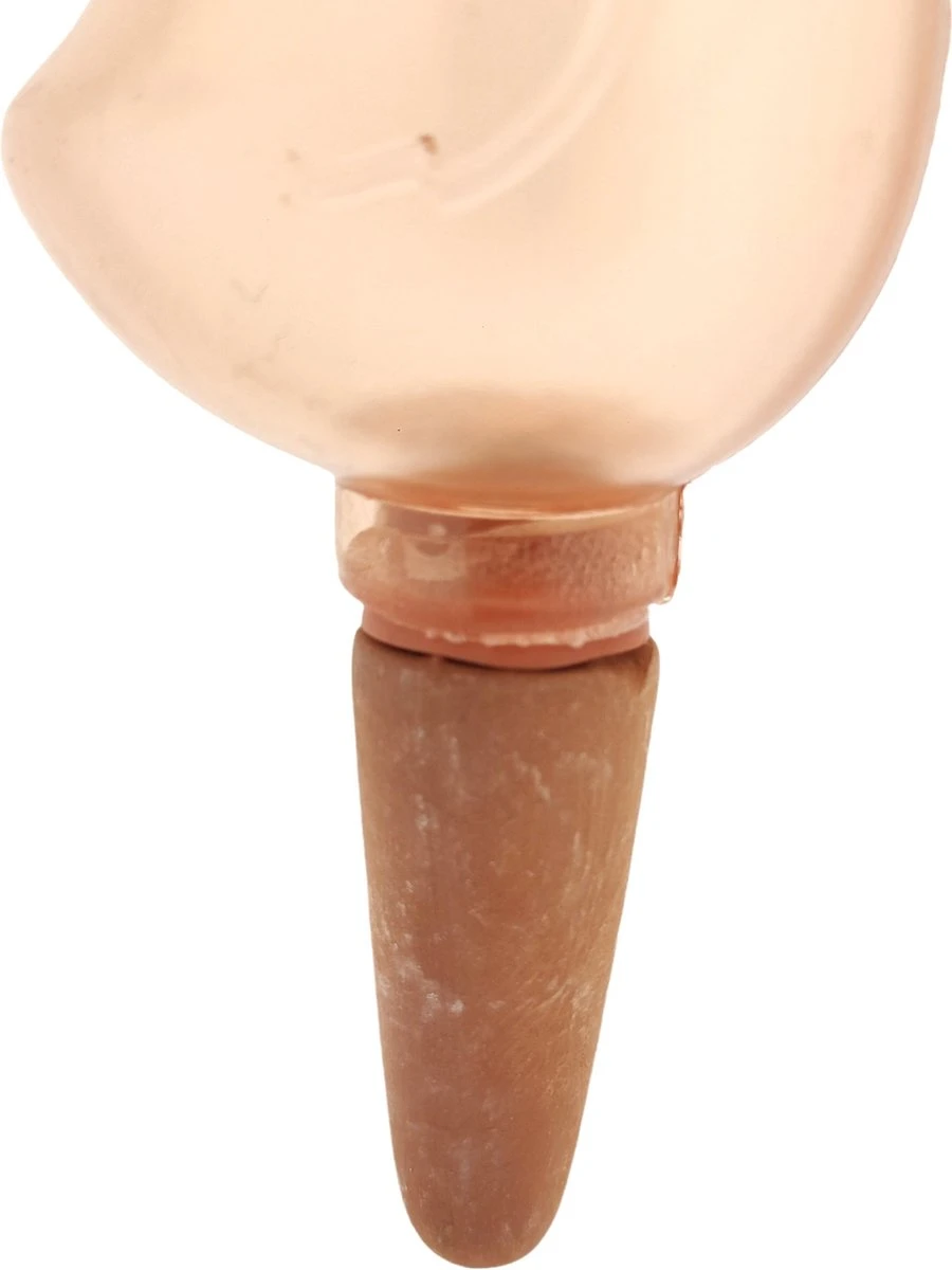 JS Drippy - Waterdruppelaars Set Van 2 Stuks - Druppelaar Vogel - Druppelsysteem Planten - Watergeefsysteem Kamerplanten - Waterbol - Roze 4 JS Drippy - Waterdruppelaars Set Van 2 Stuks - Druppelaar Vogel - Druppelsysteem Planten - Watergeefsysteem Kamerplanten - Waterbol - Roze - Afbeelding 4