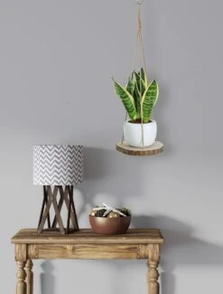 Set Van 2 Boomstam Rond Wandrek Plantenhangers - Boho Jute Houten Plantenrek - Hangpot Voor Binnen/Buiten - Hangende Bloempot Plank - Hangplant Houder - Bohemian Macrame Stijl Wandhanger - Hangplank Plant Hanger - Planthanger - Ø Rond 25-20cm -Tuingereedschaps Winkel 912x1200 3