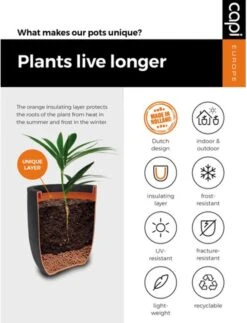 Capi Europe - Bloempot Rechthoek Smooth NL - 36x36x79 - Zwart - Voor Binnen En Buiten - KBL952 -Tuingereedschaps Winkel 919x1200 2